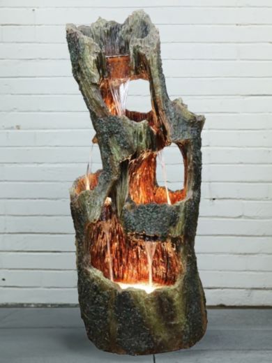 Five Fall Open Tree Trunk