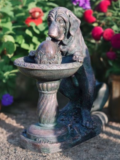 Dog at Fountain Water Feature